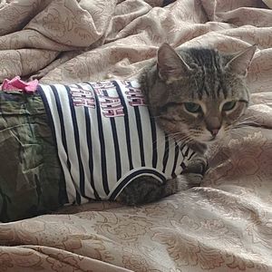 Meet your Posher, April